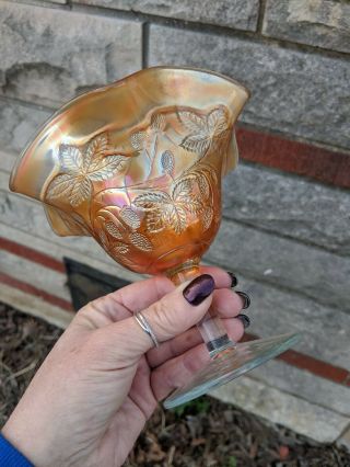 Fenton Marigold Carnival Glass " Black Berry Bramble " Compote