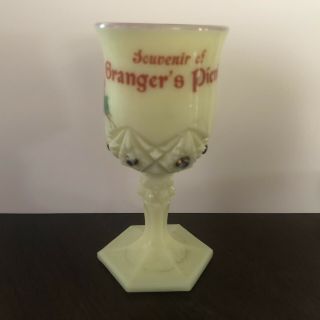 Souvenir Of Granger’s Picnic Custard Glass 4” Goblet With Roses