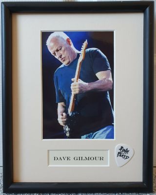 David Dave Gilmour Pink Floyd Guitar Pick Plectrum Photo Framed