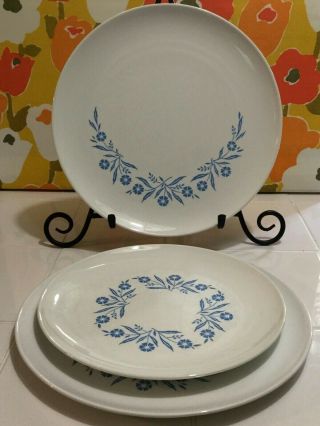 3 Vtg Corning Centura Blue Cornflower Plates; 2 Dinner (10 "),  1 Salad (8.  75 ")