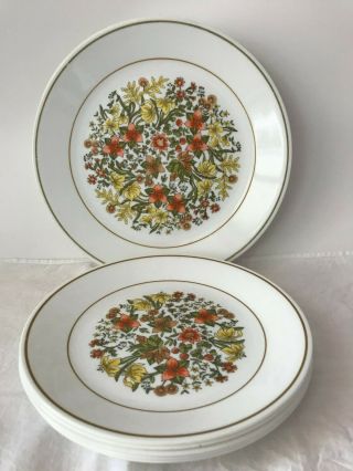 10 Vintage Corelle By Corning Indian Summer Lunch & Dinner Plates.