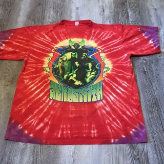 Aerosmith Girls Of Summer Tour 2002 T - Shirt Men’s Size Xl Tie Dye