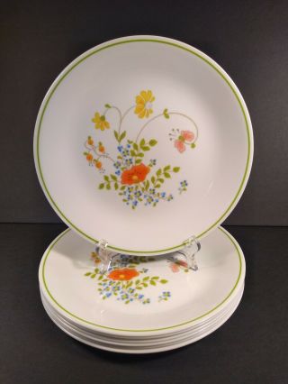 Set Of 7 Corelle Wildflower 8.  5 " Lunch Plates White With Multi Color Flowers Euc