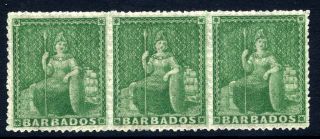 Barbados 1861 - 70 Britannia ½d Green Fresh Mounted Strip Of Three.  Sg 21.