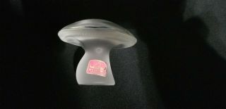 Medium Viking Glass Mushroom Clear Frosted 2 1/2 " H By 3 " W.