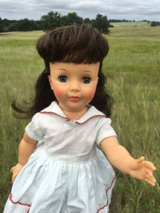 Stunning Htf Brunette Pattite Petite Patti Playpal Doll By Ideal 18 " Tall G - 18
