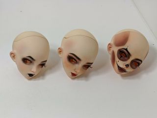 3 Bjd Doll Heads