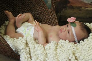 Gorgeous Newborn Reborn Baby Girl " Jayden Awake " By Natalie Scholl Limited Editi