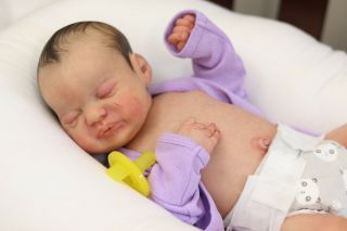 Sole Americus By Laura Lee Eagles Reborn Doll