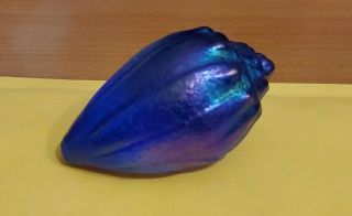 Robert Held Sea Shell Glass Paperweight