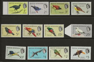 British Honduras Sg 202/13 1962 Birds Set Of 12 Fresh Mounted