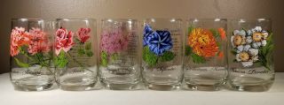 Vintage Set Of 9 Brockway Flower Of The Month Glass Tumblers Drinkware