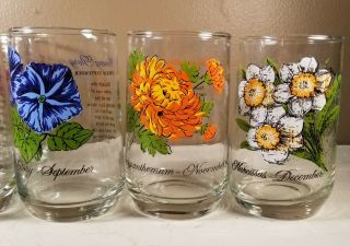 Vintage Set of 9 Brockway Flower of the Month Glass Tumblers Drinkware 3
