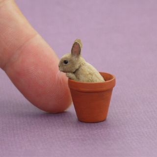 Dollhouse Miniature Bunny Rabbit In Flower Pot By Kerri Pajutee Ooak