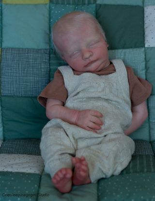 Realistic Reborn Newborn Sleeping Baby Doll Bountiful Baby Realborn James Asleep
