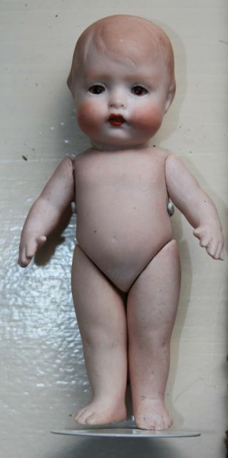 RARE ANTIQUE All Bisque CHARACTER BOY Doll GLASS EYES Germany 2