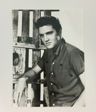 Elvis Presley Jailhouse Rock Vintage 8 X 10 Black And White Photo 1955 - 1956