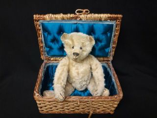 Early Antique Steiff Teddy Bear In Antique Satin Lined Basket