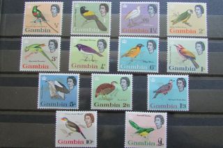 Xl5217: Gambia Complete Qeii Stamp Set To £1 (1963) : Sg193 – 205