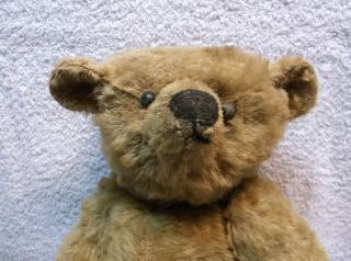 ANTIQUE STEIFF 15 INCH JOINTED MOHAIR TEDDY BEAR COMPLETE 2