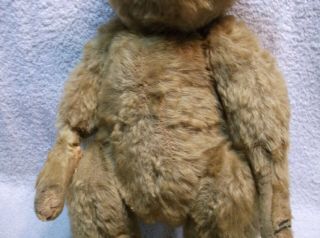 ANTIQUE STEIFF 15 INCH JOINTED MOHAIR TEDDY BEAR COMPLETE 3