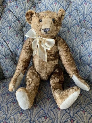 Rare Wonderful Early Antique Steiff ? 16” Bear Overall For Age Look