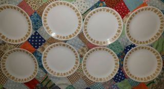 8 Corelle Gold Butterfly Dinner Plates 10 1/4 " Vintage