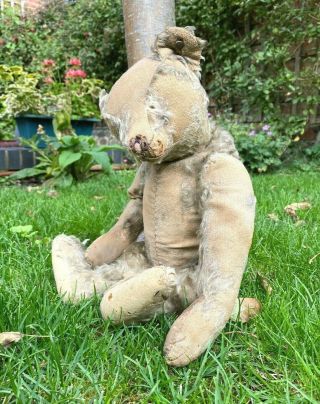 Antique Steiff Teddy Bear Button In Ear Very Well Loved Long Arms Feet Hump