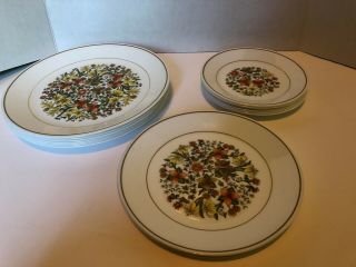 Corelle/corning=indian Summer Plate Set Of 16=all To Go One Price Vintage 1980s