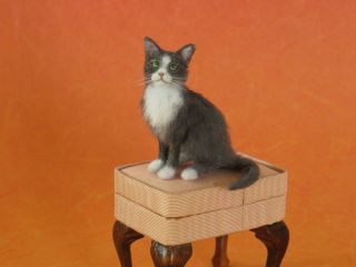 Ooak Dollhouse 1:12 Miniature Cat Tuxedo Cat Handmade Igma Artisan Jparrott
