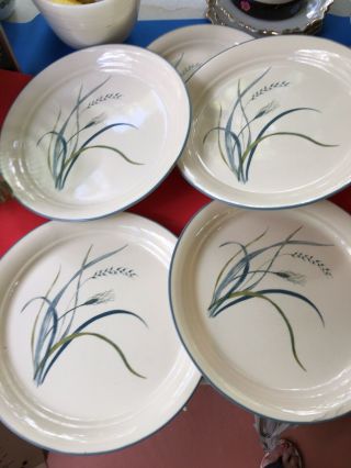 Set Of 4 Corelle Dinner Plates - 10 1/2 In Coastal Breeze Pattern -