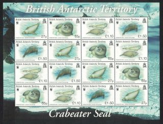 Bat Wwf Crabeater Seal Sheetlet Of 4 Sets Mnh Sg 506 - 509 Mi 505 - 508 Sc 505 - 508