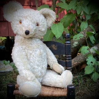 23” Antique 1930s Knickerbocker White Mohair Teddy Bear,  Very Rare