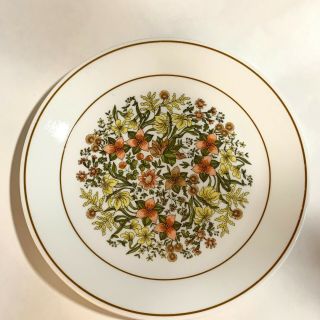 Vintage Corelle by Corning INDIAN SUMMER Dinner Plates 10 1/4 