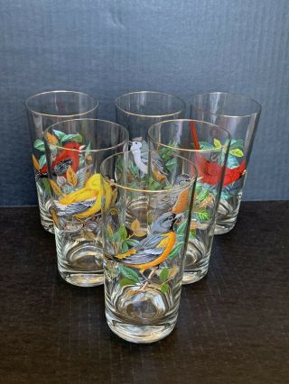 6 Vtg Song Bird Drinking Glasses Gold Trim Goldfinch Oriole Robin Cardinal,