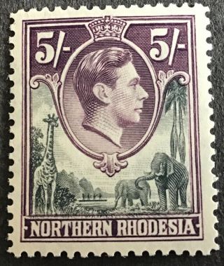 Northern Rhodesia George Vi 5/ - Definitive Sg 43 Mnh Unmounted C/v £27.  00