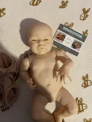 Reborn Doll Kit Esme By Laura Lee Eagles
