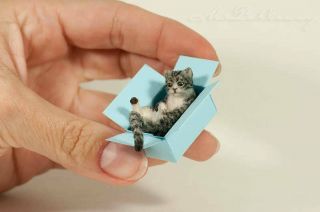 Ooak Handmade Kitten In A Box Miniature Dollhouse Sculpture