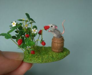 Ooak Dollhouse 1:12 Miniature Mouse Strawberry Base Handmade Oreon Cat