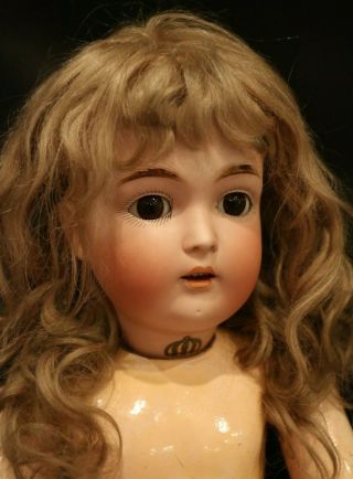 Antique Kestner 171 German Bisque Doll 19 In Mohair Wig Plaster Pate