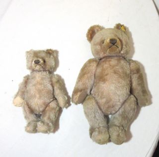2 antique vintage handmade German Steiff mohair jointed teddy bear 14 inch 3