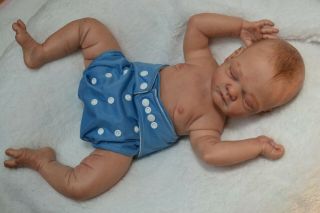 Rare Reborn Baby Doll " Gus " By Tina Kelly With Full Torso,  Arms,  & Legs