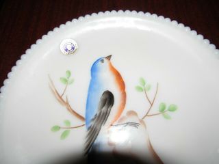 RARE WESTMORELAND BEADED EDGE BIRDS CHICKADEE & BLUEBIRD 7.  5 