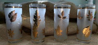Set Of 4 Vintage Libbey Gold Foliage Leaf Frosted Drinking Glasses,  6 1/2”x2 3/4