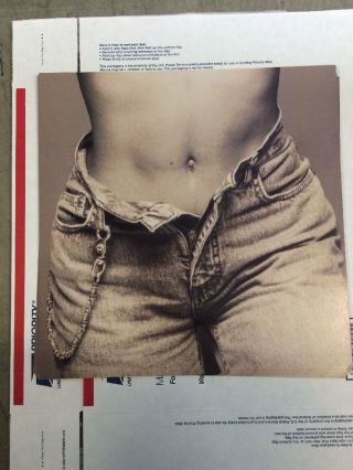 Rare Vintage 1993 Janet Jackson Stomach Tummy Promo Album Flat Poster