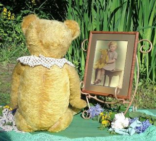 ANTIQUE C1920 ' S GERMAN TEDDY BEAR & PHOTOGRAPH OF TEDDY WITH HIS OWNER 3