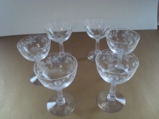 Fostoria Crystal Bouquet Etched - Set Of 6 Champagne Tall Sherbet Glasses 4 3/4 "