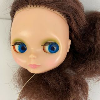 Vtg 1972 Kenner Blythe Doll Head Brunette Bushy Bangs? Center Part 4 Color Eyes