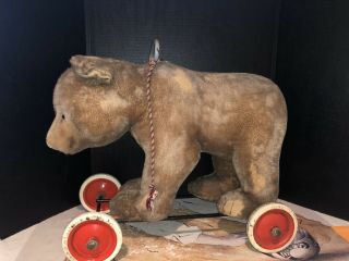 Antique Steiff Bear On Wheels.  Steiff Ear Pin Has An Elephant In The F’s