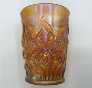 Vintage Dugan “heavy Iris” Marigold Carnival Glass Tumbler